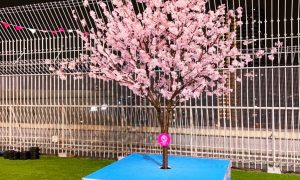 sakura_deco_02