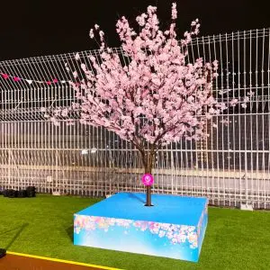 sakura_deco_02