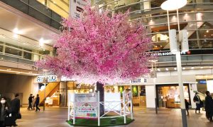 sakura_deco_06