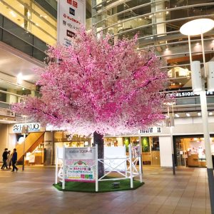 sakura_deco_06