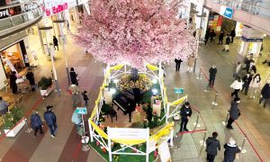 sakura_deco_07