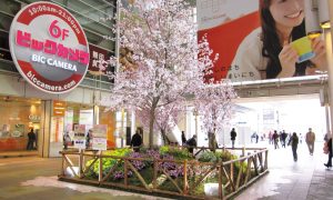 sakura_deco_08