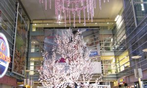 sakura_deco_09-scaled