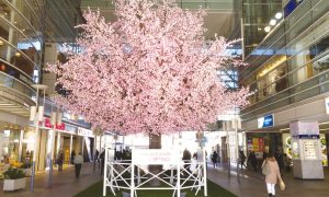 sakura_deco_11