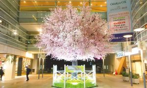 sakura_deco_12