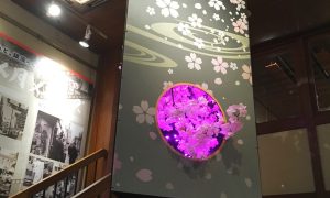sakura_tool_02-1