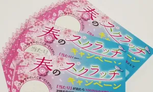 sakura_tool_04.jpg.webp