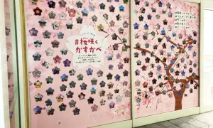 sakura_tool_05.jpg.webp