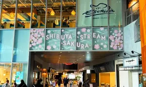 sakura_tool_11.jpg.webp