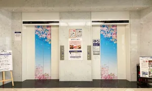 sakura_tool_13.jpg.webp