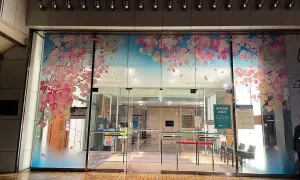 sakura_tool_14.jpg.webp