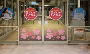 sakura_tool_27.jpg.webp