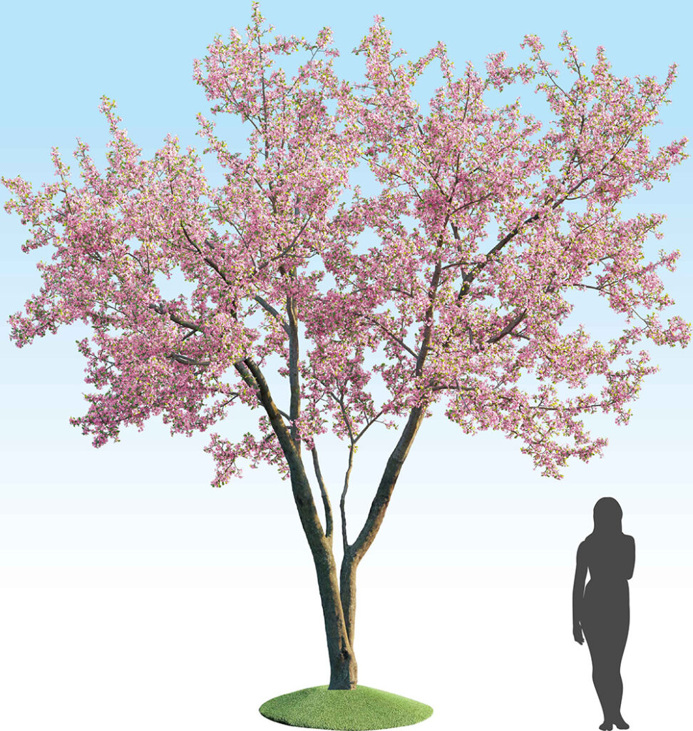 sakura_product_tree06